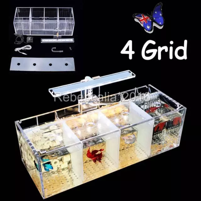 4Grid Acrylic Betta Fish Tank LED Light Mini Desktop Aquarium Water Pump NEW AU