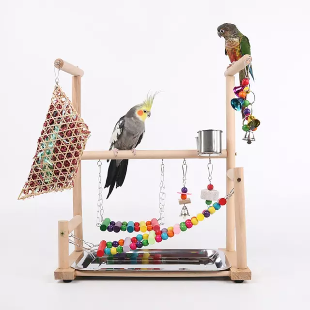 Aire de jeux pour perroquets, perchoir en bois, Cage à oiseaux, accessoires de