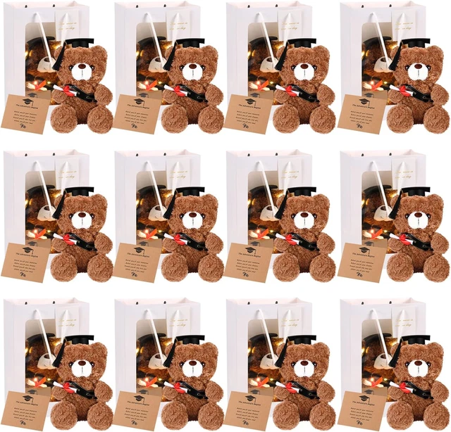 12 SET GRADUATION Gifts Bear Class of 2024 Stuffed Bears Bulk Plush