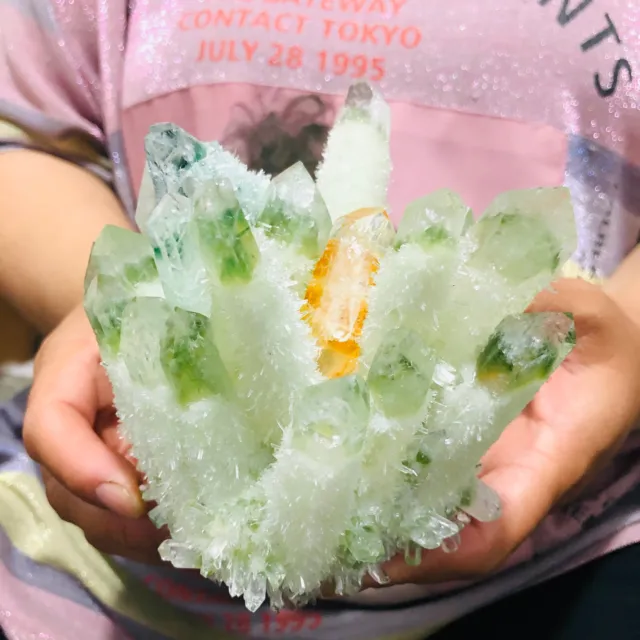 960G New Find Green Phantom Quartz Crystal Cluster Mineral Specimen Healing