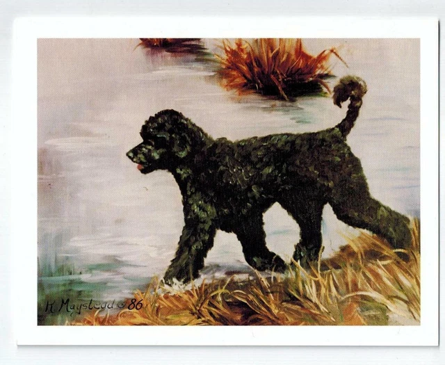 New Portuguese Water Dog Profile Notecard Set - 12 Note Cards By Ruth Maystead