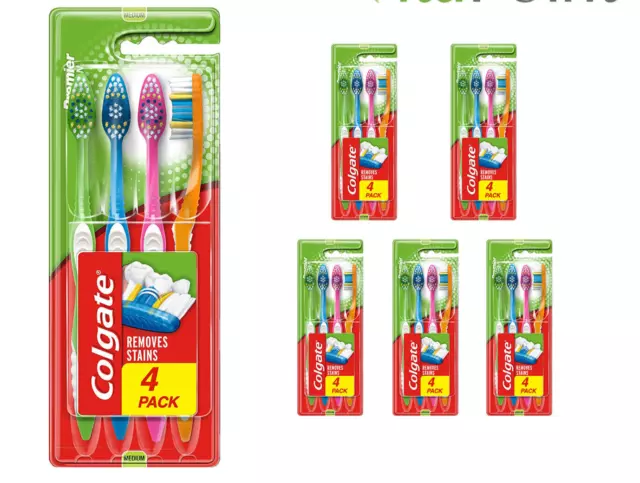 Colgate Zahnbürste Premier Clean Medium - entfernt Flecken (4 in einer Packung)/X6