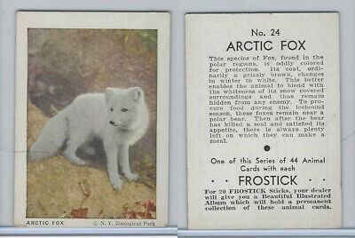 F55 Frostick, Animal Cards, 1933, #24 Arctic Fox