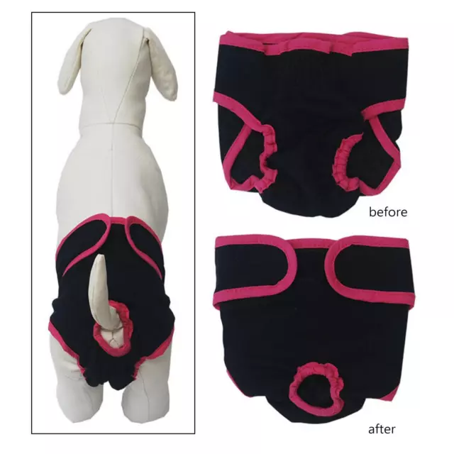 Pantalon physiologique pour chiot, couche absorbante lavable en Machine pour