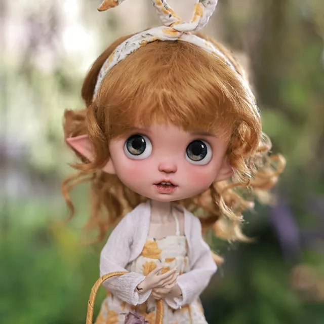 1/6 BJD Doll Full Set Resin SD Ball Jointed Dolls Girl with Clothes Wig Shoes