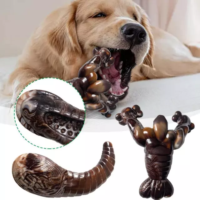 Teeth Cleaning Dog Chew Toy Nylon Dental Dog Toy Bite-resistant Teeth Grind F2W0 2