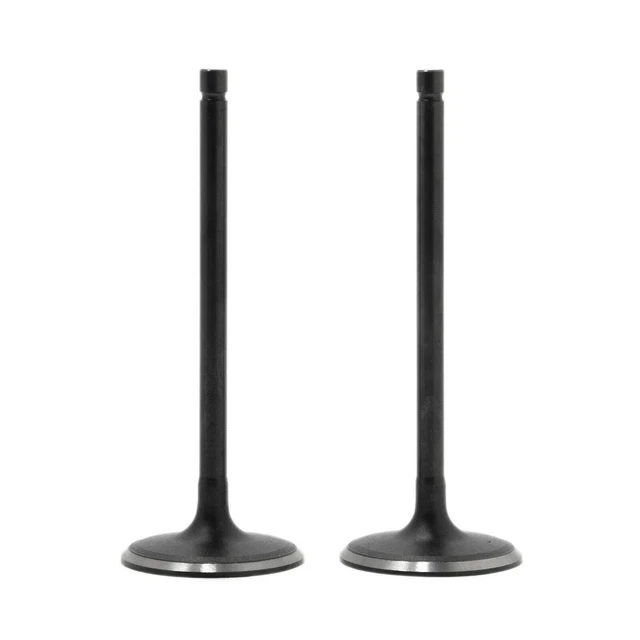 2x Soupape d'admission pour YAMAHA Raptor Grizzly Rhino Viking Kodiak 700 YFM700