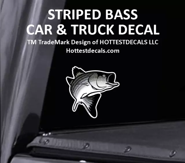 CHESAPEAKE BAY FISH DECAL STICKER Car Window Truck Boat Trailer Yeti Cooler  $9.99 - PicClick
