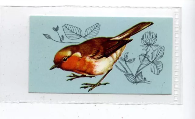 (Jd4173) TETLEY,BRITISH BIRDS,ROBIN,1970,#2