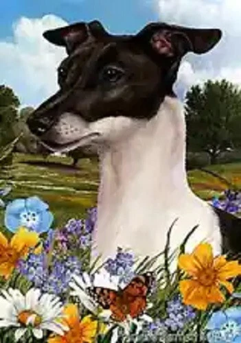 Summer House Flag - Black and White Italian Greyhound 18430