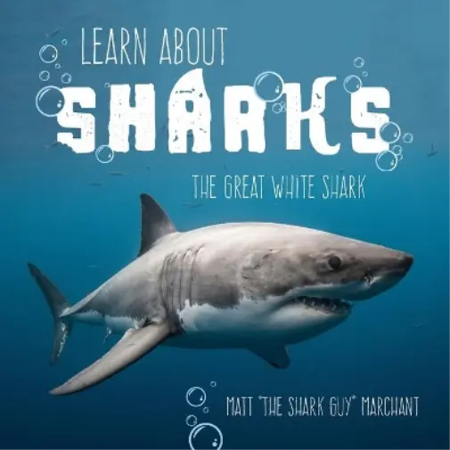 Matt Marchant Learn About Sharks (Poche)