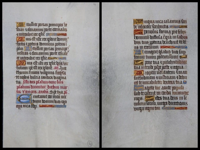 Illuminierte Grafia Su Pergamena Foglia Di Uno Miniatura Um 1500 (119)