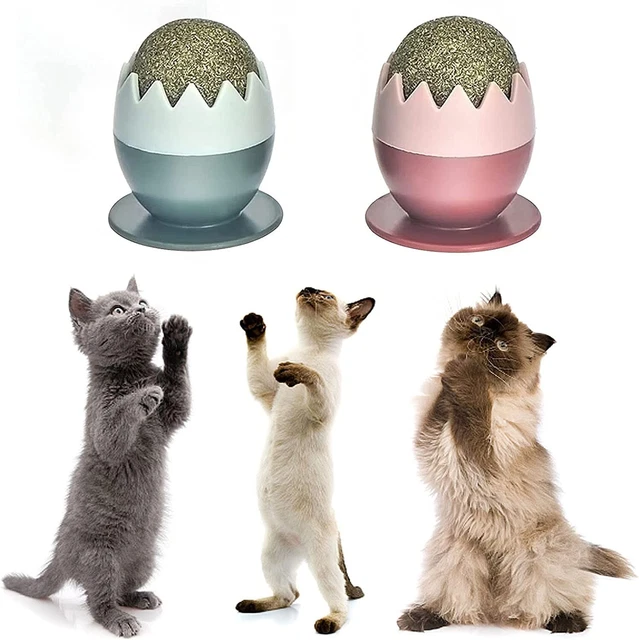 GloryIt  | Lot de 2 Jouets Pour Chat Avec Herbe à Chat | Boule de Cataire | Neuf