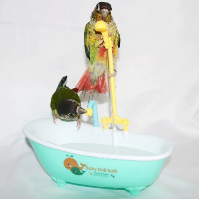 Vogel zubehör Papagei automatische Badewanne Bade wanne Vogel dusche