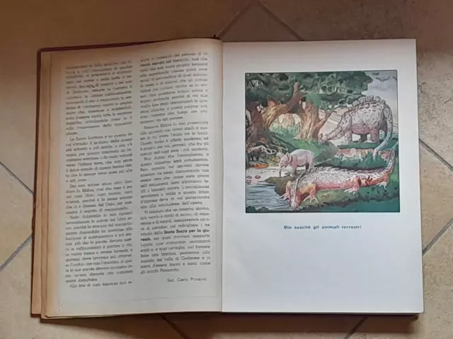 La Bibbia Illustrata Per La Gioventu' 3 Volumi Aa.vv. 1940 - 1949 Ed. S.a.d.e.l. 2