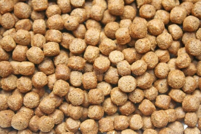 Alimento flotante para peces de acuario 100 g (3,5 oz) koi carpa oro peces disco sri lanka
