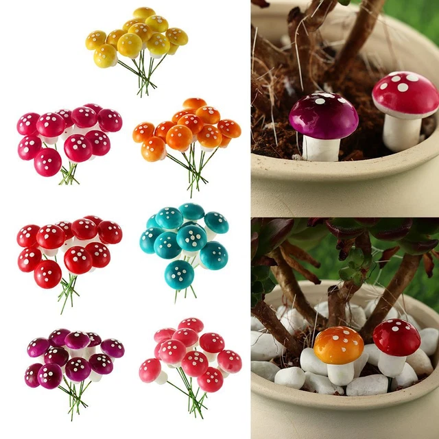 Pot De Plantes Succulentes Avec Maison Sucrée, Mini Plantes Succulentes