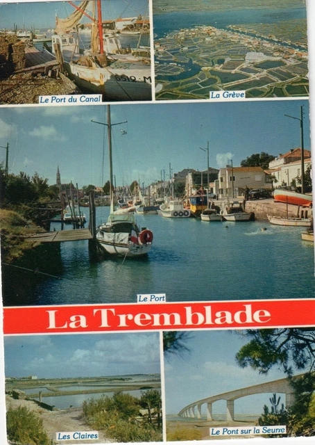 Carte Postale Ancienne CPA 17 La Tremblade - Triage Des Huîtres - Années 1900