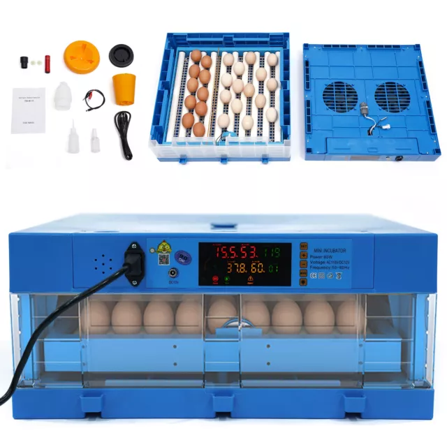 64 Eggs Automatic Incubator Digital Poultry Hatcher Auto Egg Turning 12V/110V