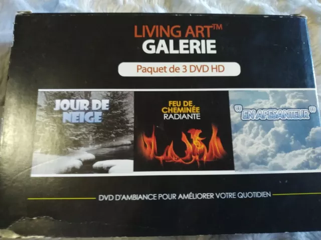 DVD LIVING ART galerie jour de neige feu de cheminée en apesanteur
