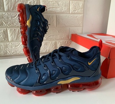 NIKE AIR VAPORMAX plus homme bleu 