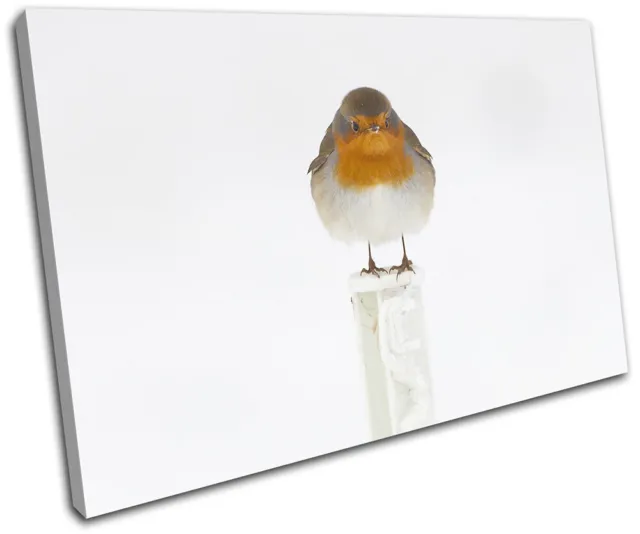 Robin Red Breast Christmas Gift Animals SINGLE CANVAS WALL ART Picture Print