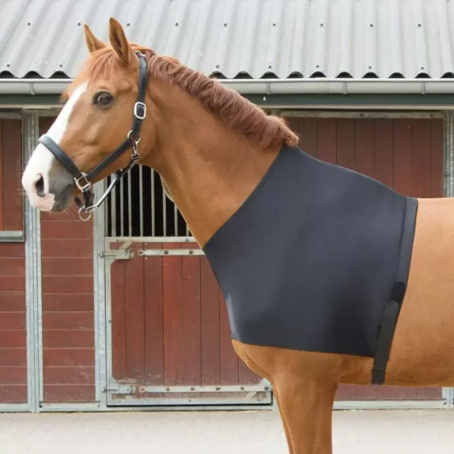 Horse Shoulder Guard Spandex Fabric Chest Saver Reusable Portable Horse Vest