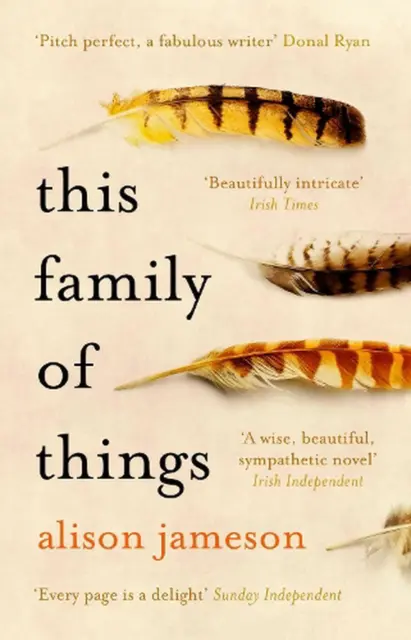 This Family of Things by Alison Jameson (English) Paperback Book
