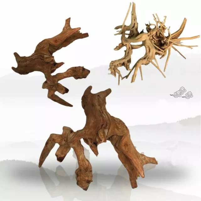 Natural Aquarium Driftwood Assorted Branches Reptile Ornament Fish Tank Decor