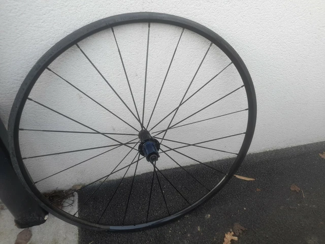 Roue Vélo Carbone 16'' Joseph Kuosac – Moyeu Dynamo SON XS – Occasion