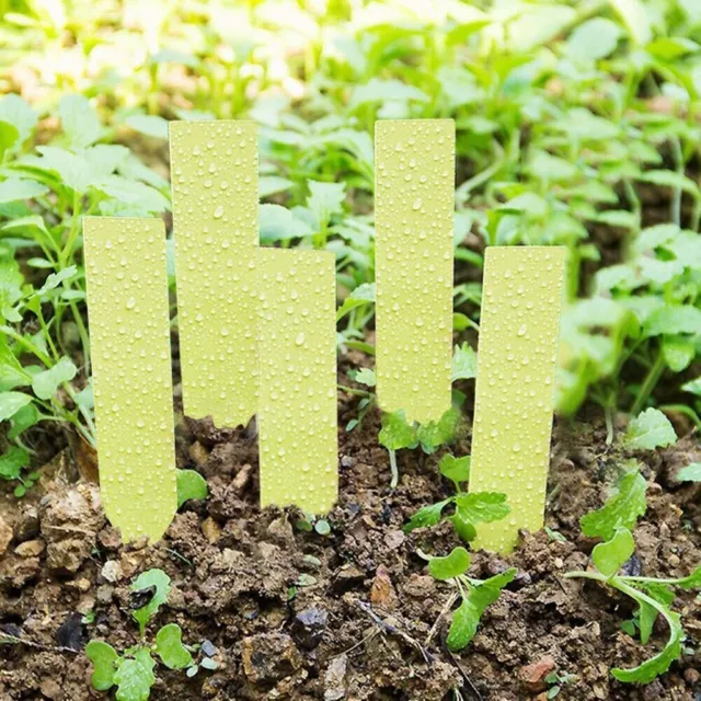 100 Pcs Plastic Plant Seed Labels Pot Marker Nursery Garden Stake Tags