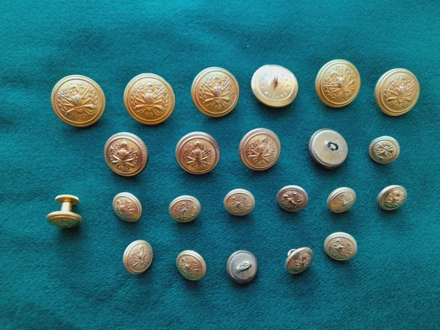 Mabor 14 bottoni dorati da cucire, 18 e 23 mm, bottoni dorati, in metallo, decorativi, vintage, in metallo, per blazer, giacca uniforme Mabor 14 bottoni dorati da cucire, 18 e 23 mm, bottoni dorati, in metallo, decorativi, vintage, in metallo, per blazer, giacca uniforme