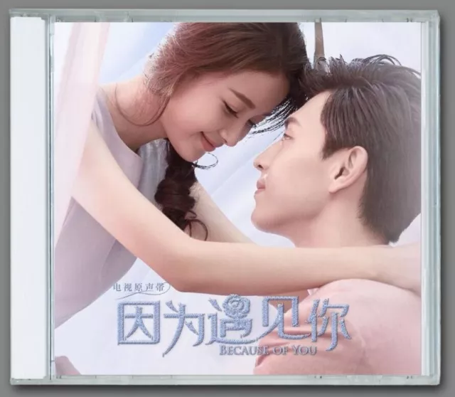 Chinese Drama TV Music Pop Car Disc BECAUSE OF YOU 因为遇见你CD 电视剧原声音乐插曲无损OST