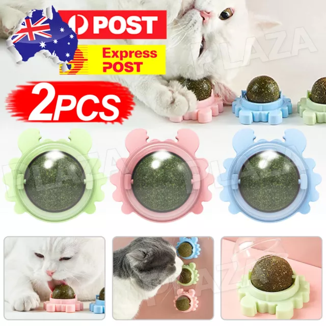 Rotatable Catnip Mint Ball Cat Treat Toys Snack Licking Kitten Pet Molar NEW