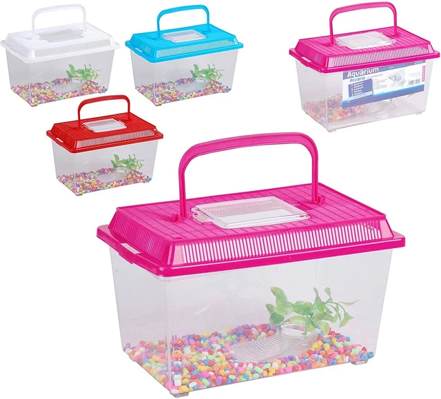 Aquarium Fish Tank With Pebbles Plant Home 4 Bright Colours Assorted Aquariums