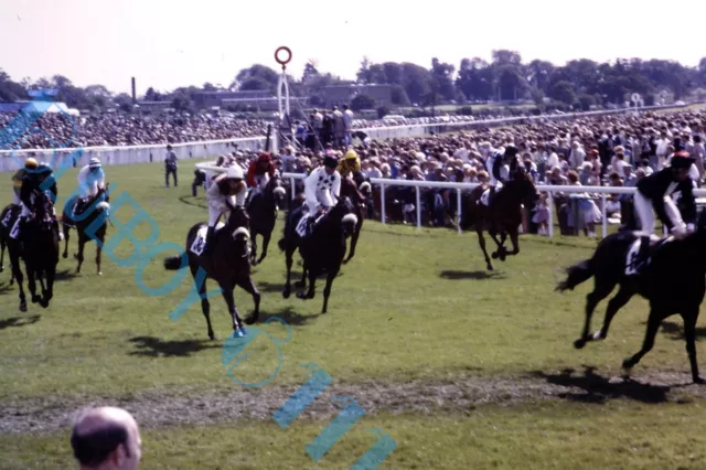 York Races 1982 Racing action shot Original 35 mm Slide horse racing