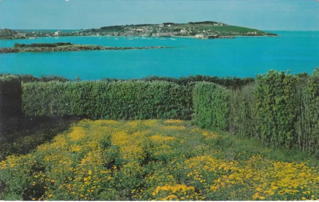 Hugh Town & The Harbour, ST. MARY'S, Scilly Isles