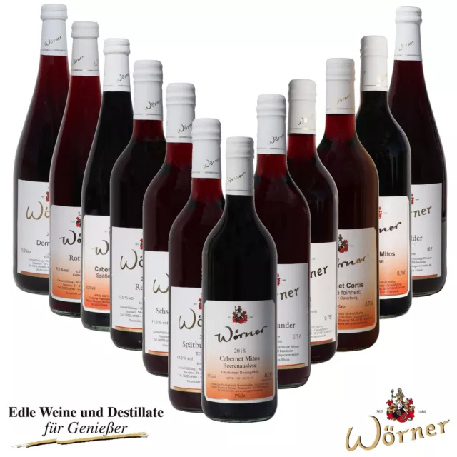 WEINGUT WÖRNER: 12 Fl. Wein Rotwein Probierpaket Weinprobe direkt vom Winzer