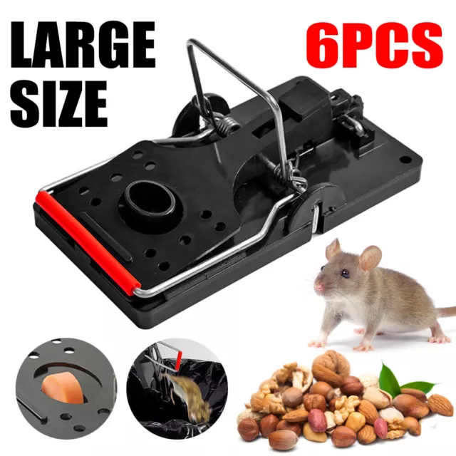 6 Large Rat Catching Metal Traps Heavy Duty Snap Mouse Trap Bait Pest Catcher