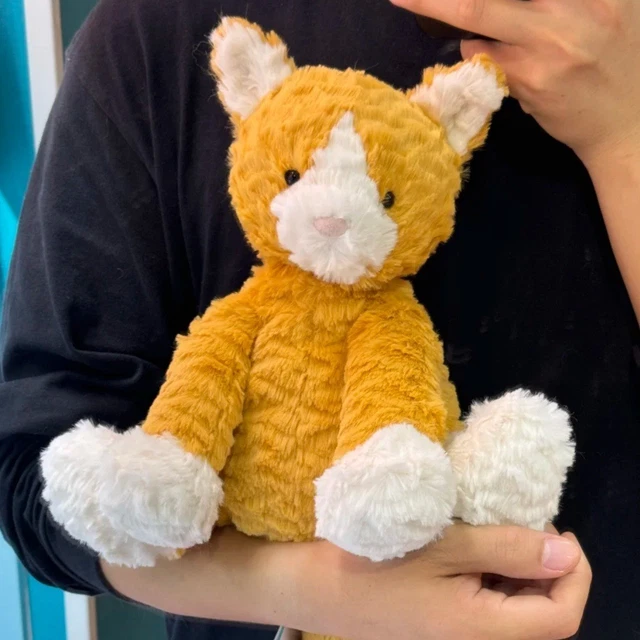 JELLY/CAT FUDDLEWUDDLE GINGER Cat 23CM plush doll - New With Tag+ Dust ...
