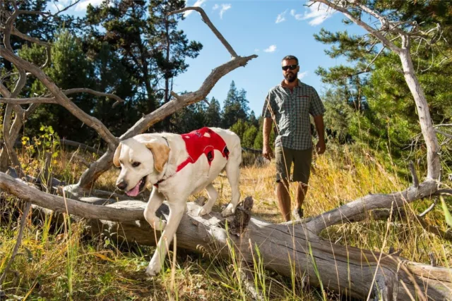 Ruffwear Web Master Chien Harnais 30102-407 Bleu Crépuscule Neuf 3