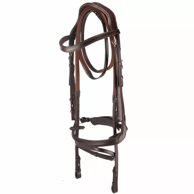 Anatomical Crank Flash Noseband Bridle With Reins - 2135 - Save up to 10% OFF