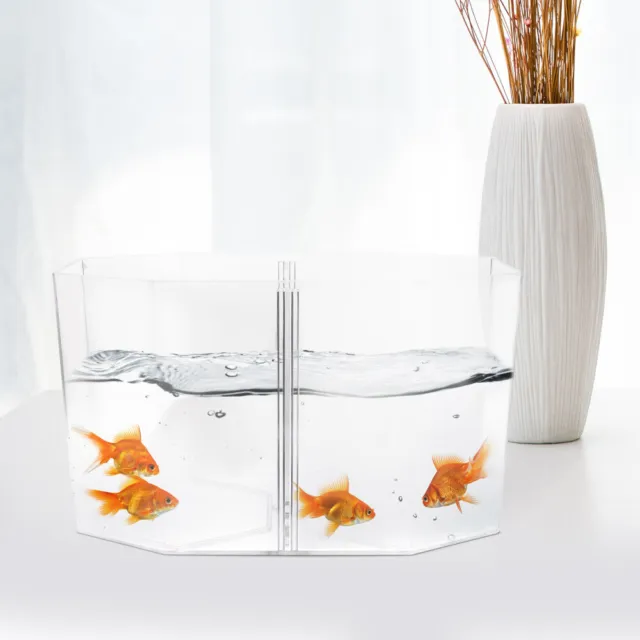 Acrylic Fish Isolation Box Fish Tank Glass Aquarium Incubator 2