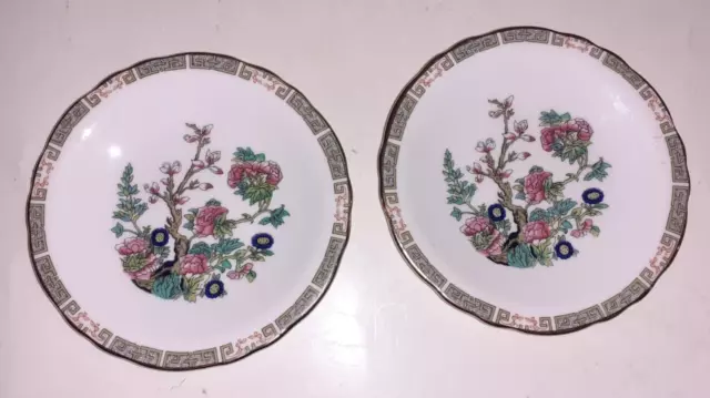 Royal Grafton Fine Bone China Small Plate Dishes (2), Indian Tree