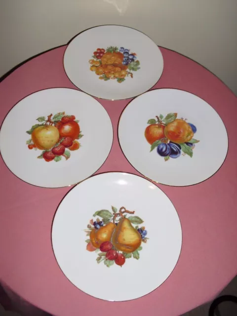 4 BAREUTHER WALDSASSEN BAVARIA GERMANY FRUIT PATTERN Salad / Dessert Plates