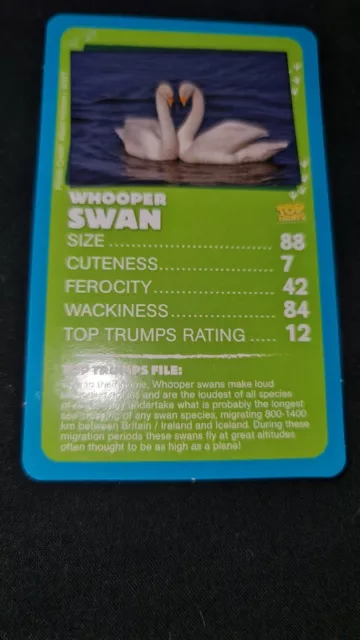 Top Trumps STT Card Add this card to your pack Wetland Animals Whooper Swan