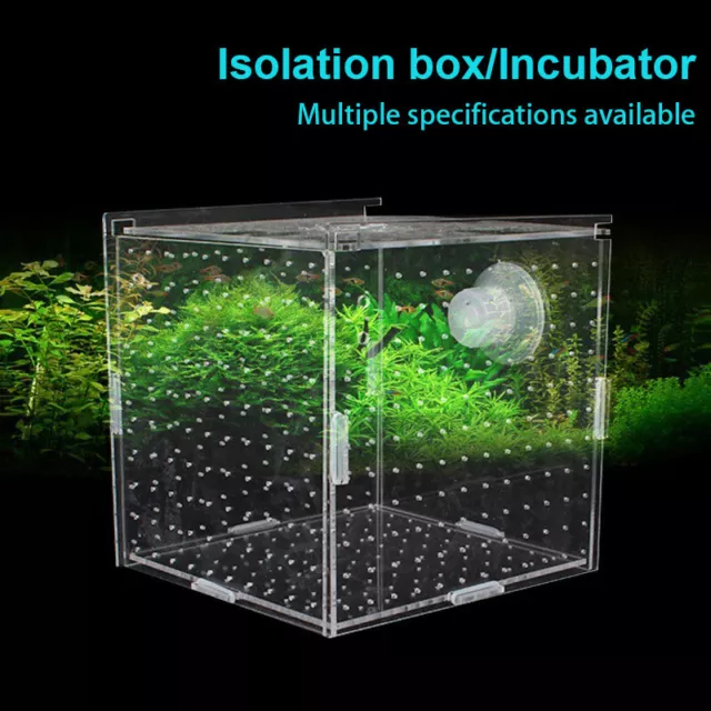 Aquarium Fish Tank Guppy Breeding Breeder Baby Fry Newborn Net Trap Box Clear
