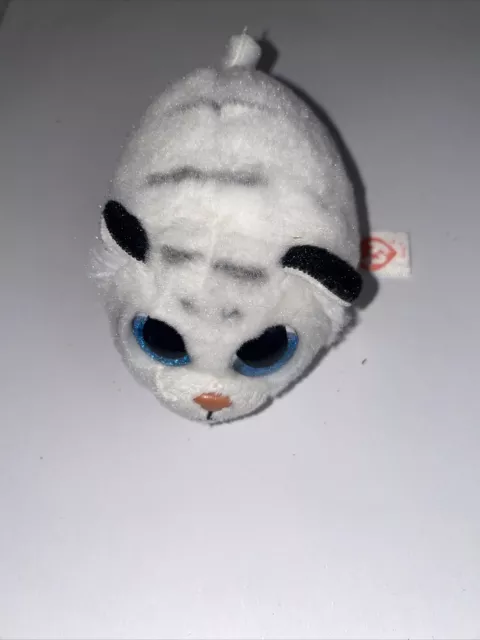 TY Teeny Tys Beanie Boo Boos ZACK THE WHITE TIGER Animal Plush Kids Soft Toy NEW