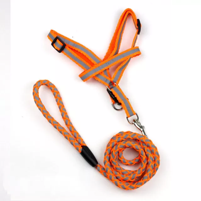 Collar Rope Dog Leash Easy Belt Harness Pet New Lead Nylon Adjustable 3