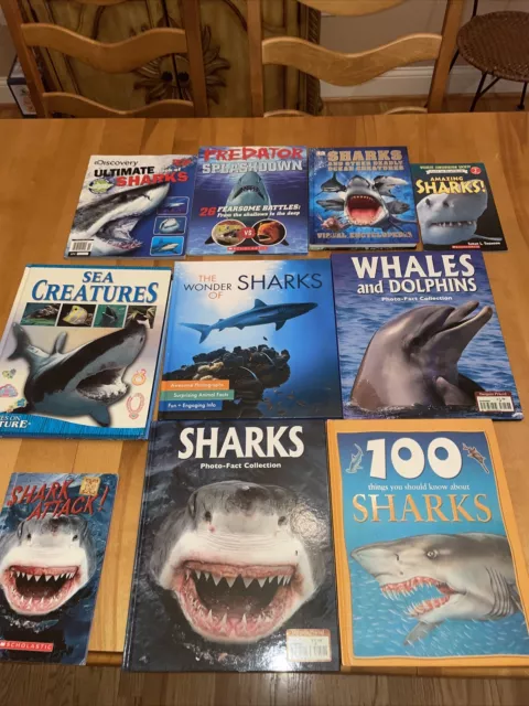 Shark & Whales Book Lot Hard and paperback Discovery DK Children Kids Ocean Sea